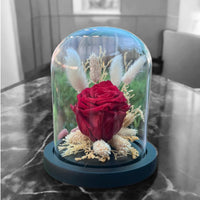 Infinite Bloom