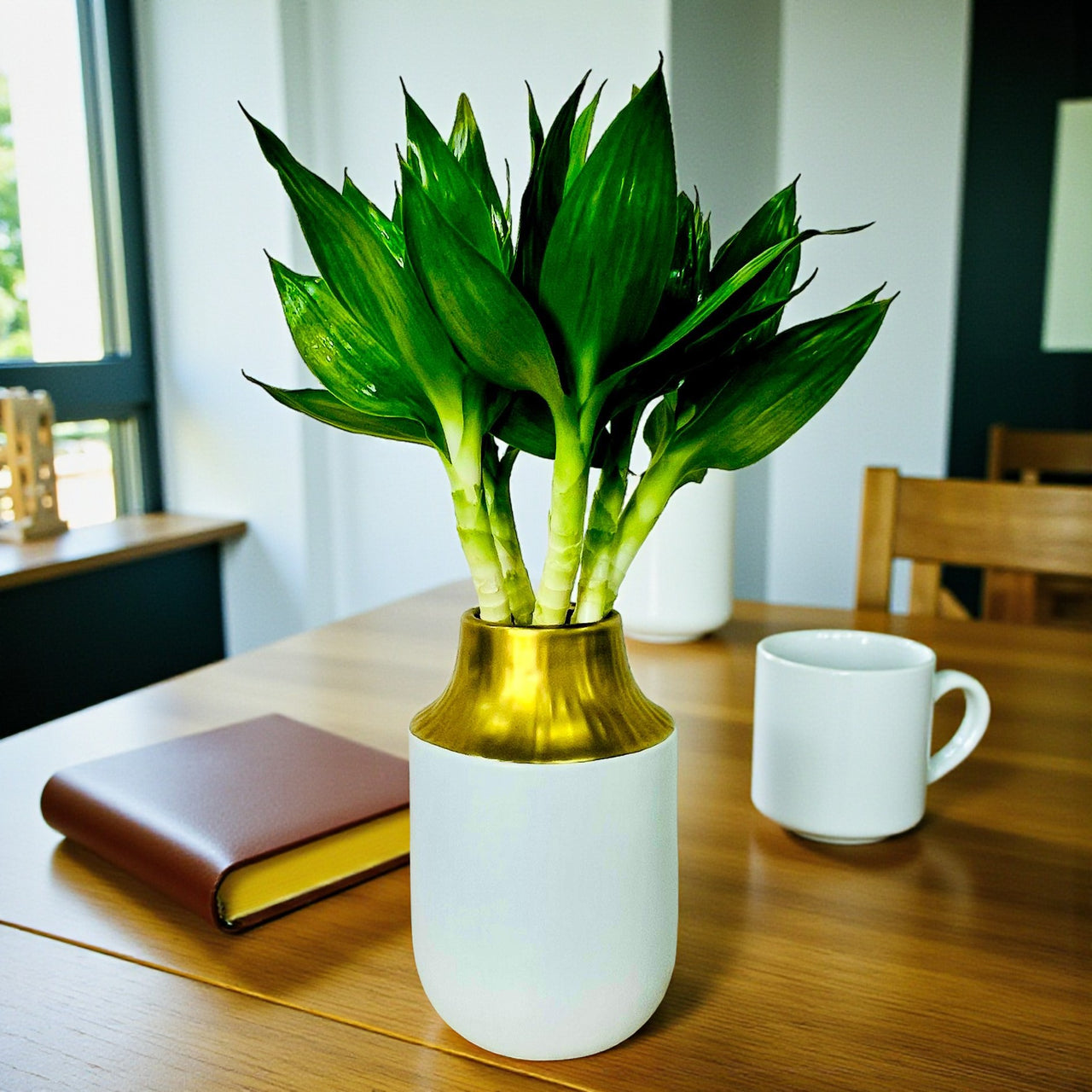 Tiger Lucky Bamboo in Ceramic Vase