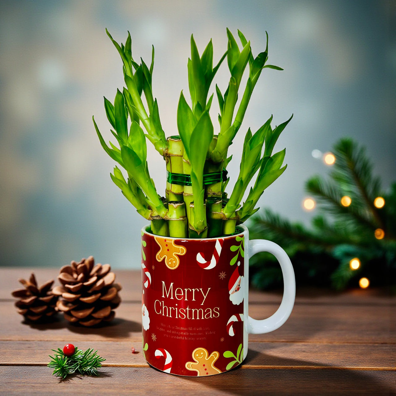 2 Layer Bamboo - Mery Christmas Mug