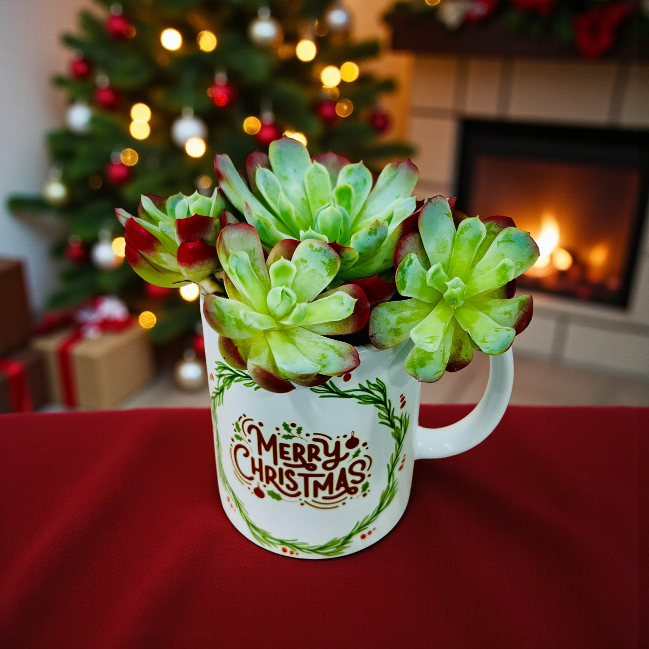 Succulent - Mery Christmas Mug