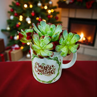 Succulent - Mery Christmas Mug