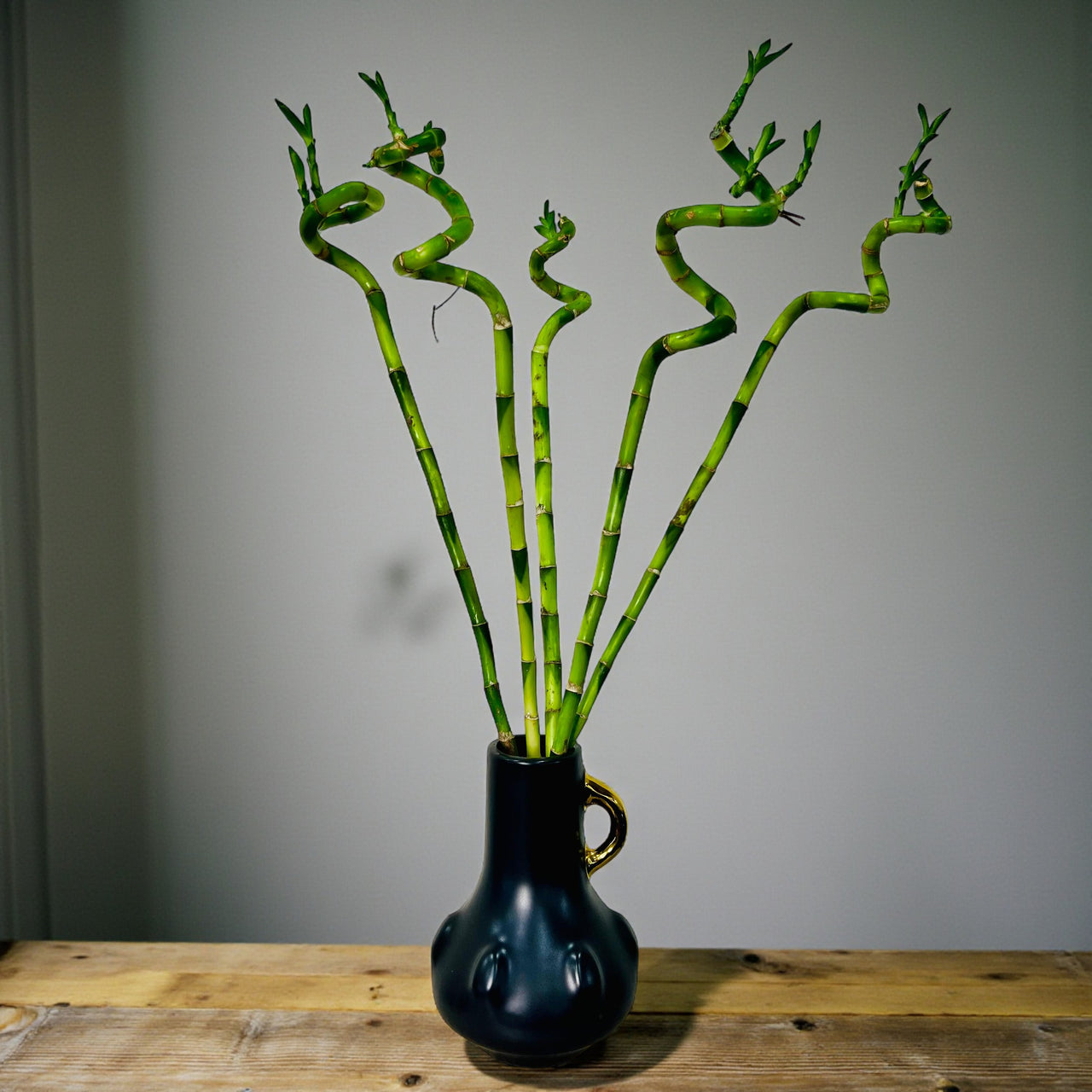 Spiral bamboo in Ceramic Vase