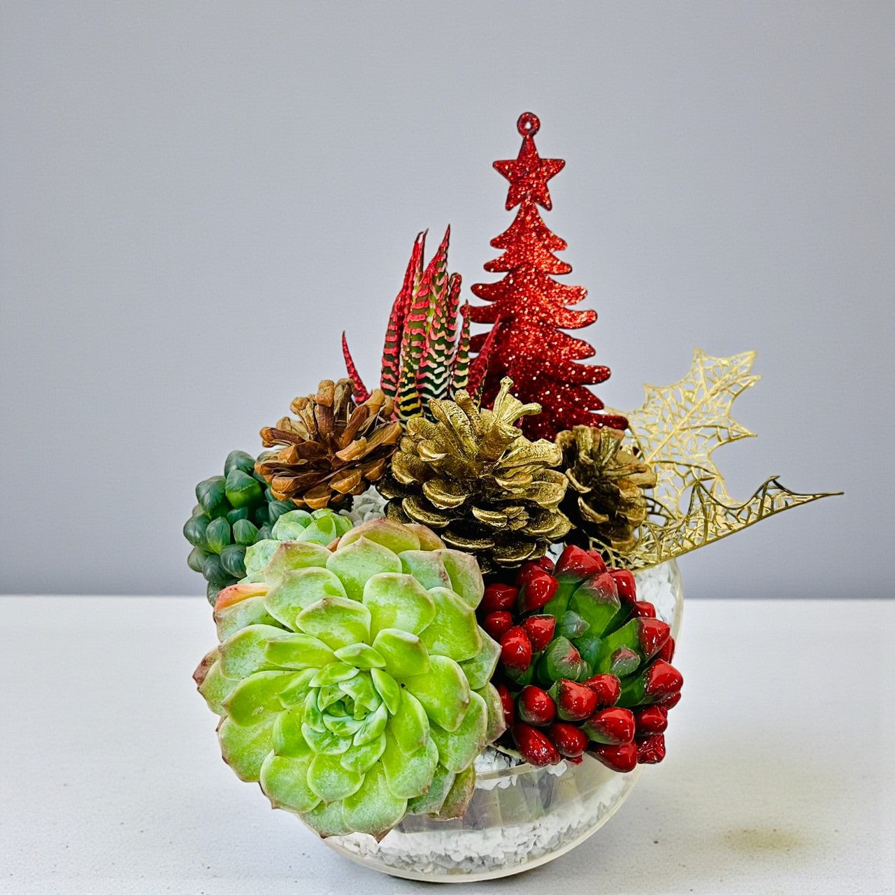 Christmas - Succluents Dish Garden