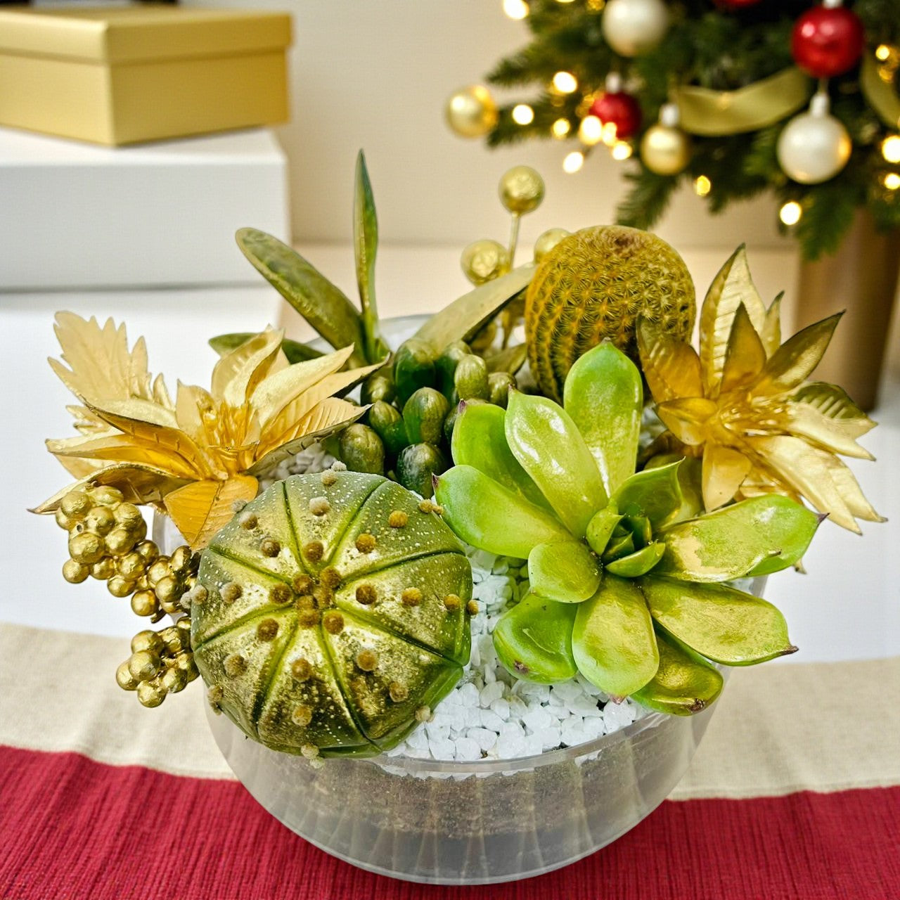 Christmas Cactus Dish Garden
