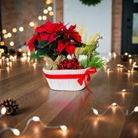 Christmas - Poinsettia Plant arrangement