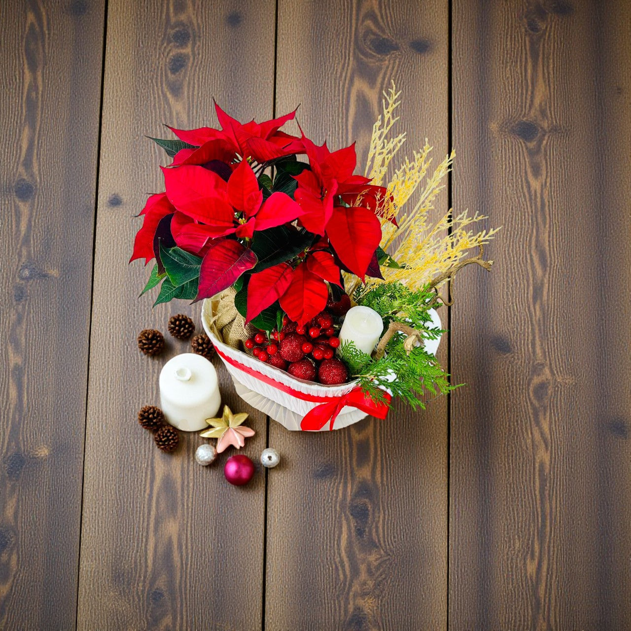 Christmas - Poinsettia Plant arrangement