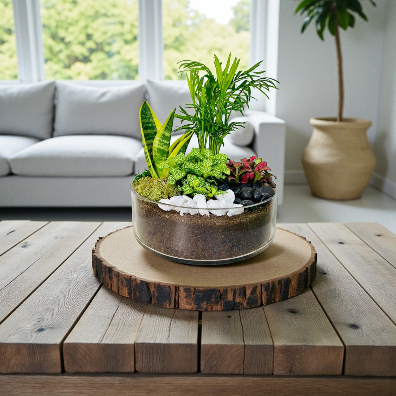 Air purifying Dish Garden