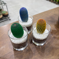 Colored Cactus - Glass Vase