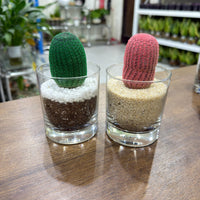 Colored Cactus - Glass Vase