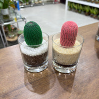 Colored Cactus - Glass Vase