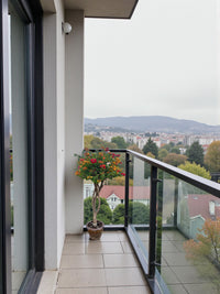 Bougainvillea Single Head