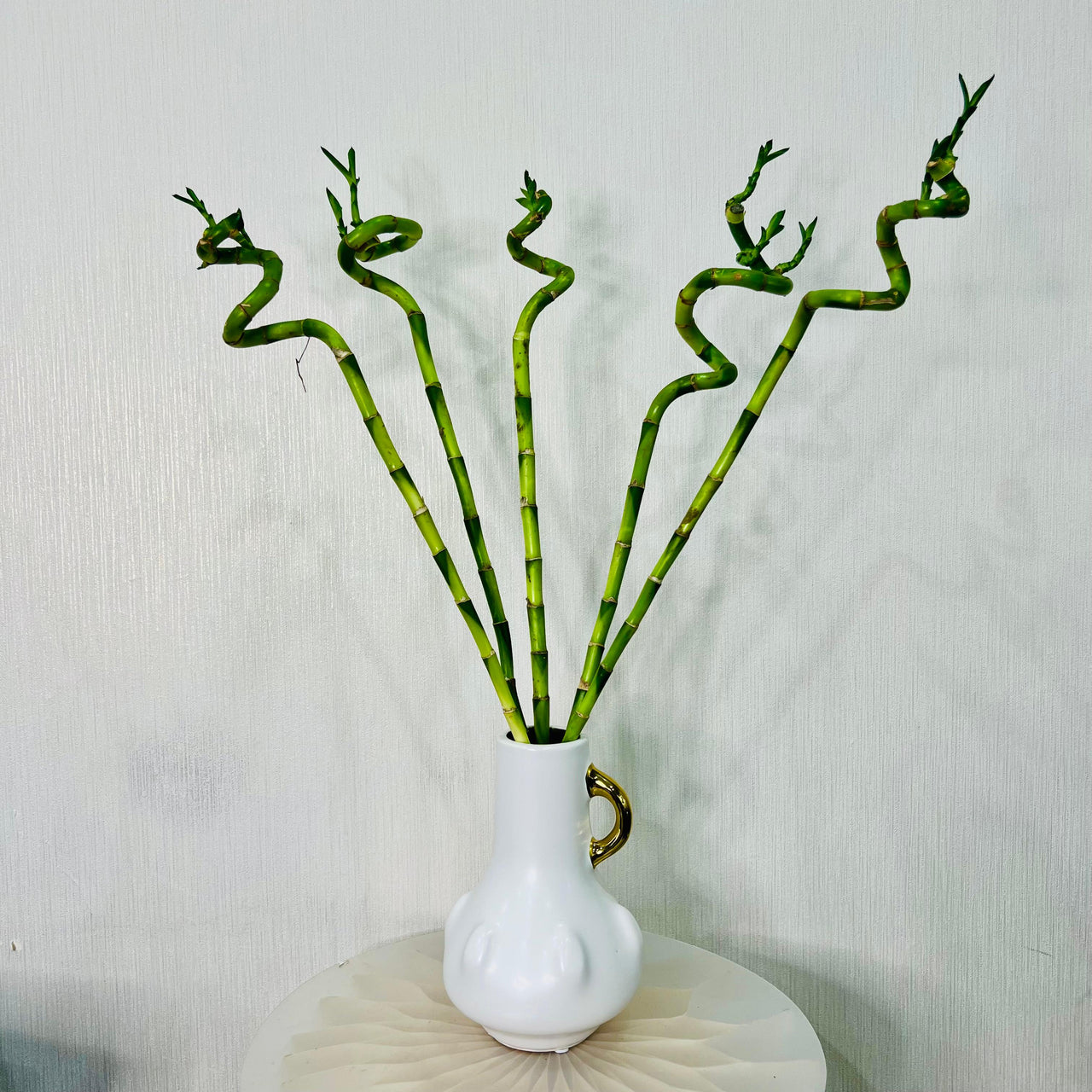 Spiral bamboo in Ceramic Vase