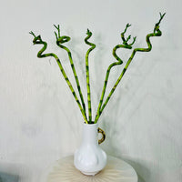 Spiral bamboo in Ceramic Vase