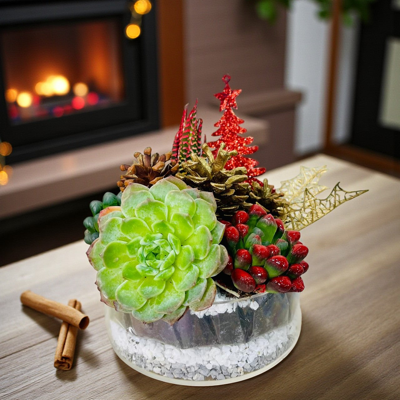 Christmas - Succluents Dish Garden