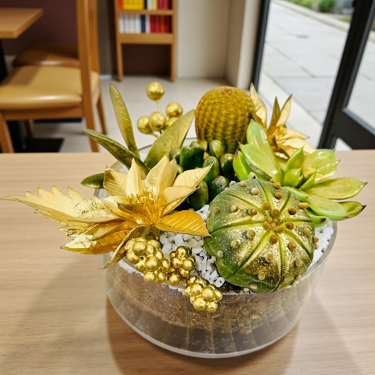 Christmas Cactus Dish Garden