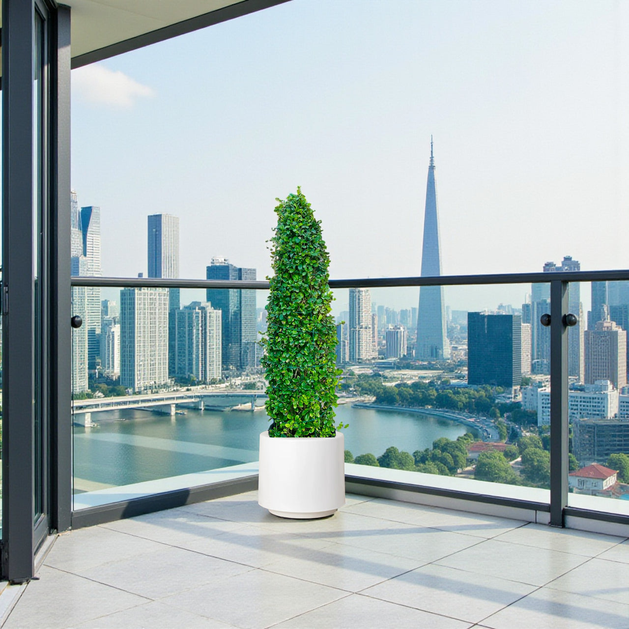 Ehretia Cone Shape - Ehretia Microphylla - Fukien Tea