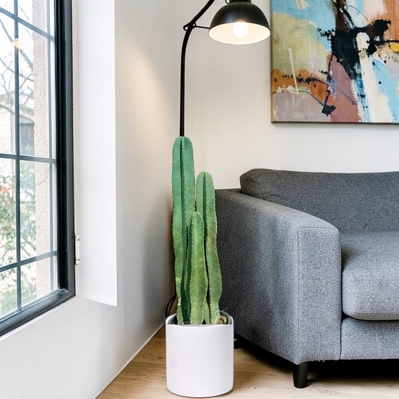 San Pedro–Style Columnar Cactus (Echinopsis / Trichocereus Type)