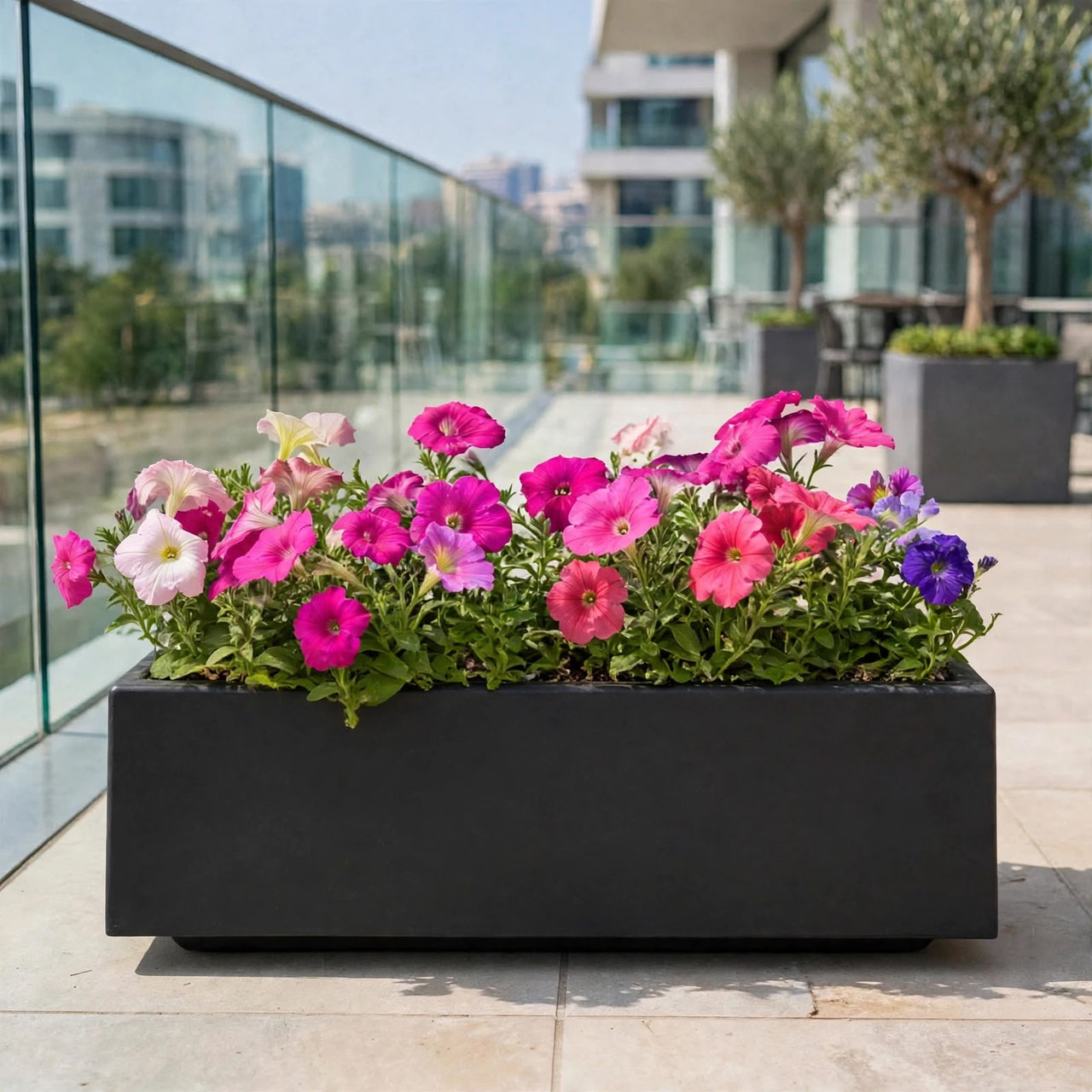 Petunia Flower Plants Mix Bundle (5–12cm) in GRP Planter – Multicolour Seasonal Outdoor Flowers | Dubai UAE