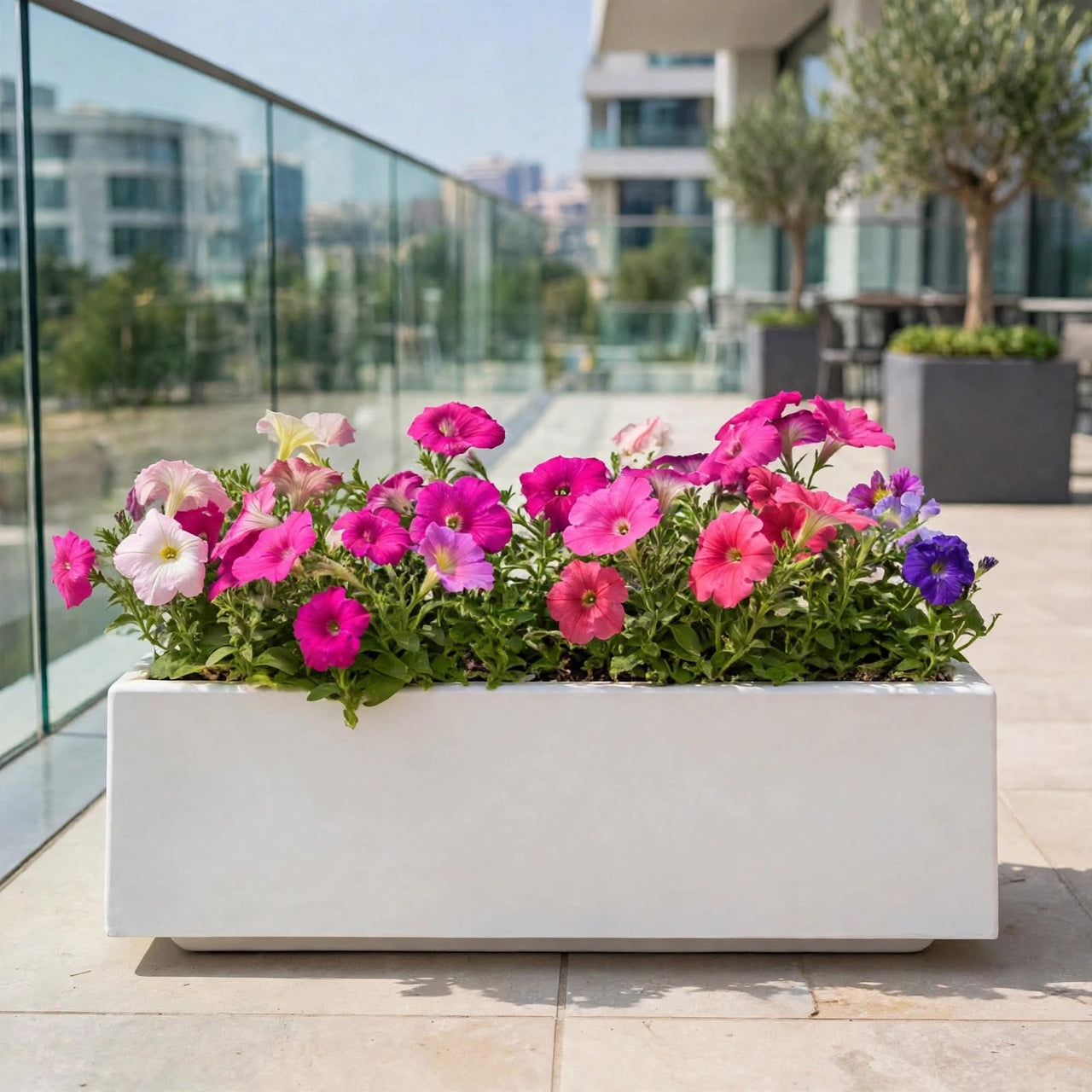 Petunia Flower Plants Mix Bundle (5–12cm) in GRP Planter – Multicolour Seasonal Outdoor Flowers | Dubai UAE