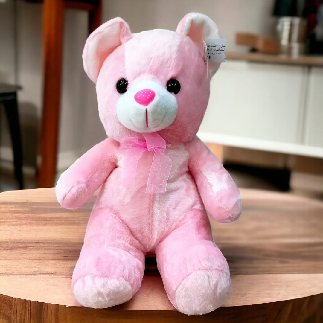 30CM Teddy Bear in Blue and Pink