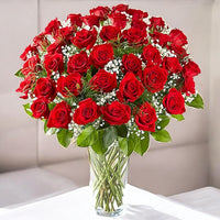 50 Red Roses in Vase
