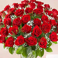 50 Red Roses in Vase