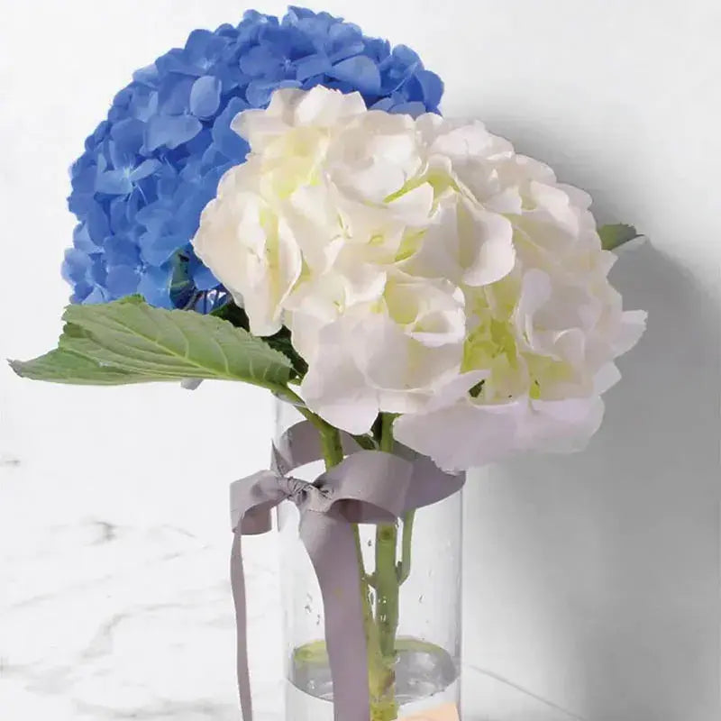 Hydrangea Blue & White in Vase