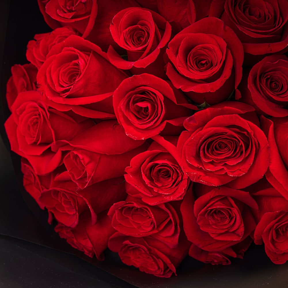 Bouquet of 25 Red Roses