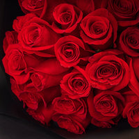 Bouquet of 25 Red Roses