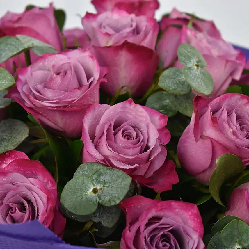 Bouquet of 20 Purple Roses