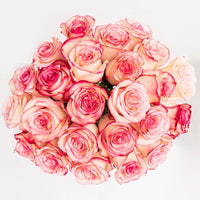Esperance Elegance, Radiant Bouquet,Buy Esperance Elegance Online,Esparence Rose,Pink/Blue Ribbon
