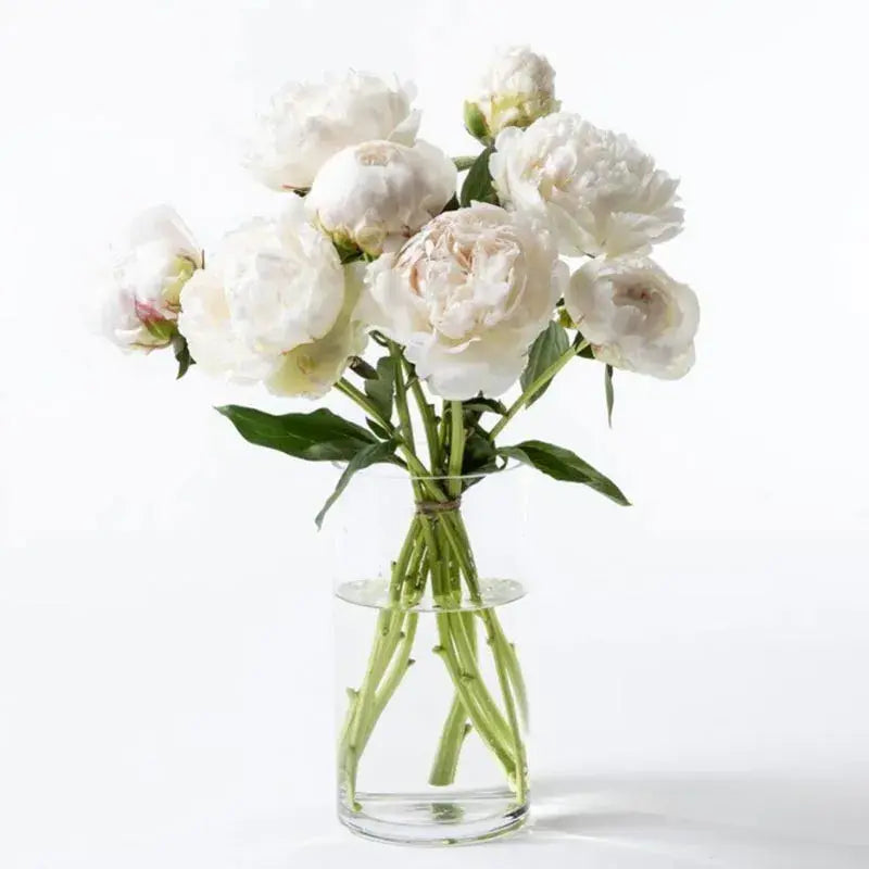 Freeze Elegance, Ten White Peonies, Glass Vase, Floral Arrangement