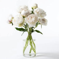 Freeze Elegance, Ten White Peonies, Glass Vase, Floral Arrangement