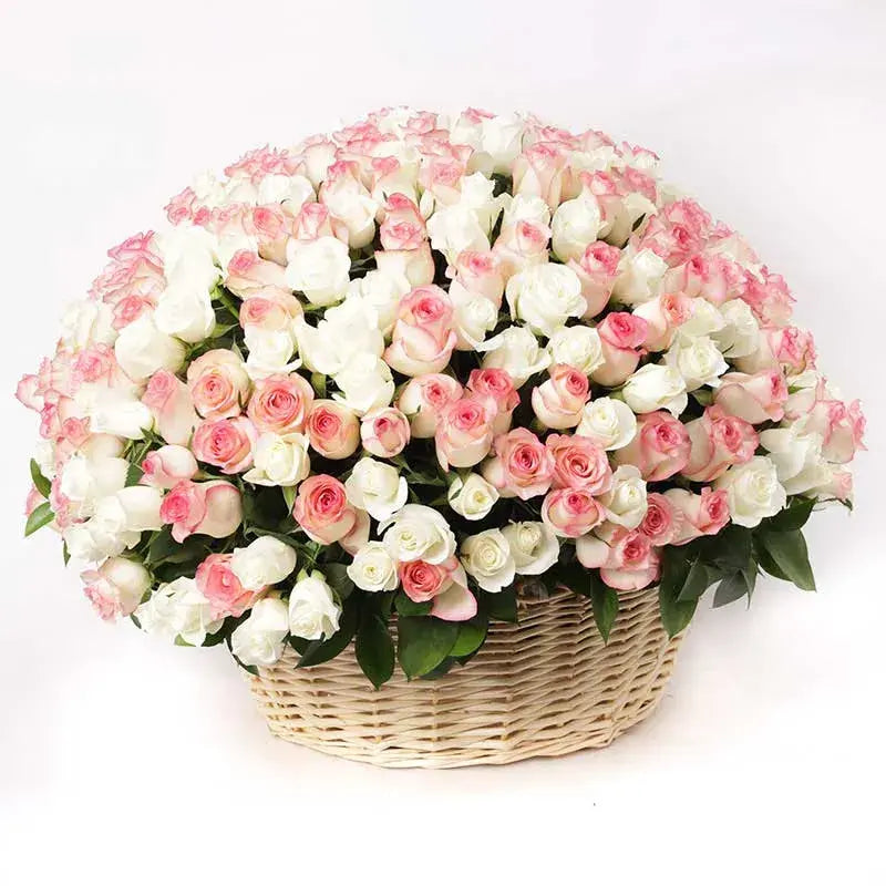 Grand Affection, White Roses, Sweet Revival Roses, Grand Handle Basket
