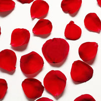 Red Rose Petals