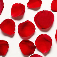 Red Rose Petals