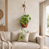 Epipremnum Plant (Golden pothos - Devil’s ivy) Hanging