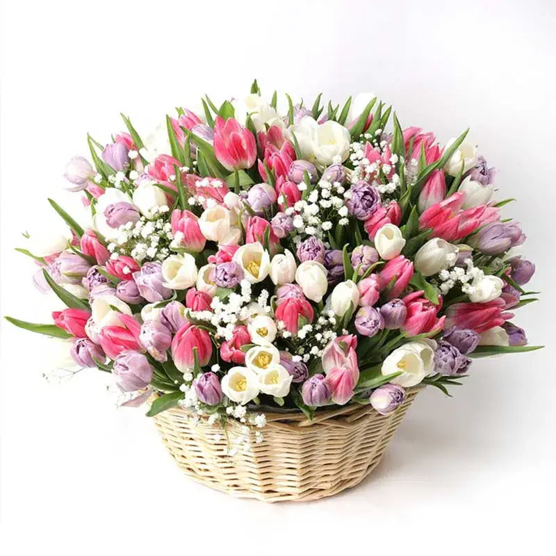 Magnificent Tulips, 201 Tulips, Mix Color Tulips, Large Handle Basket