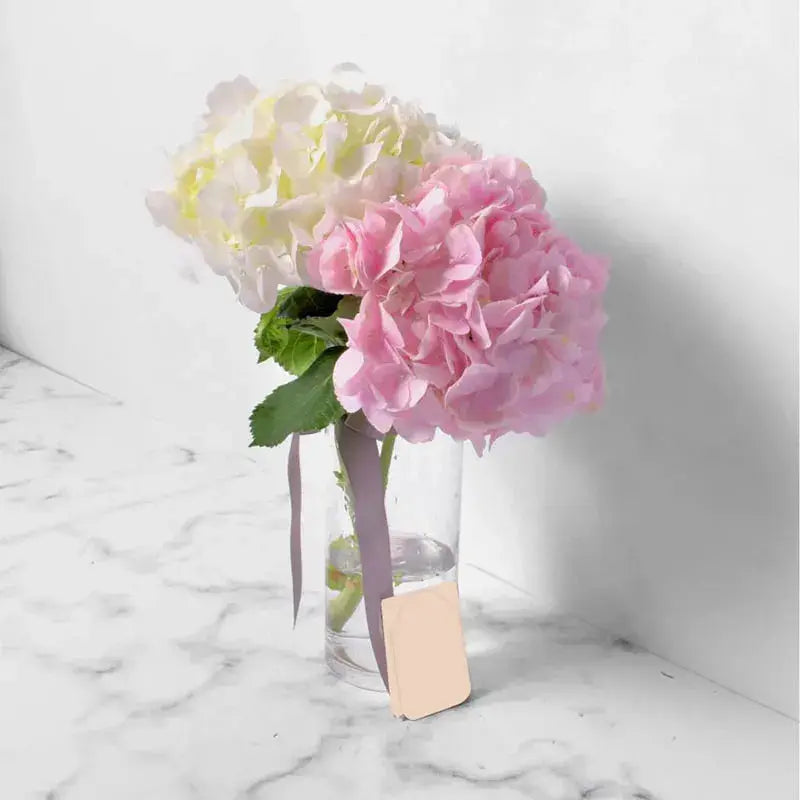 Make Me Blush, Blooms in Glass Vase, White Hydrangea, Pink Hydrangea, Cylinder Glass Vase