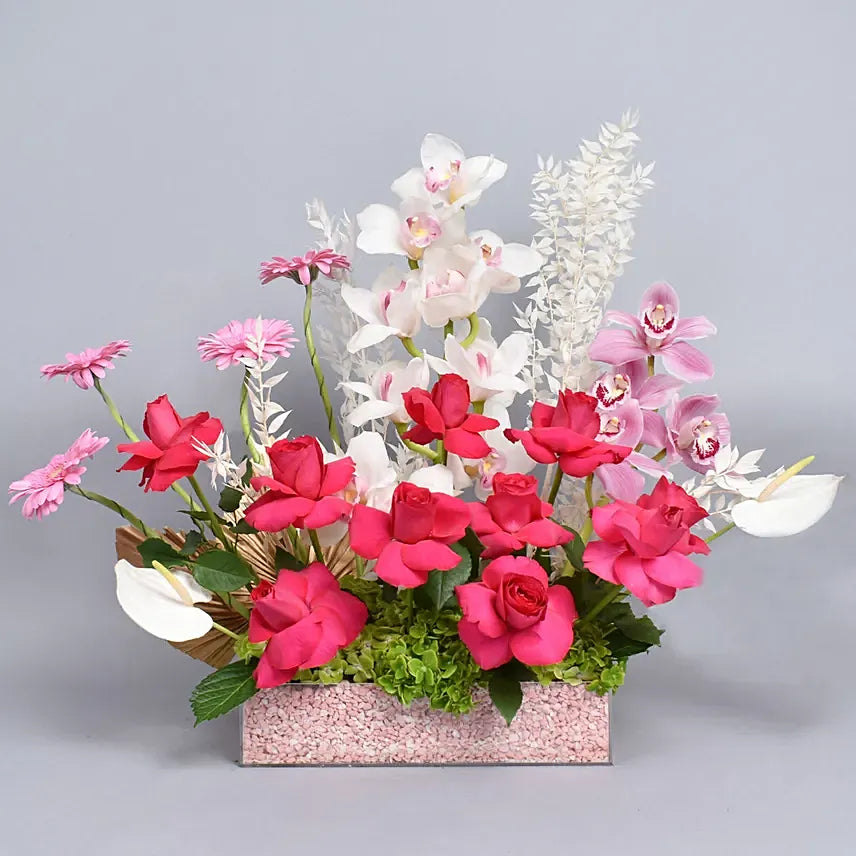 Roses & Smiles, Blooms of Joyful Elegance, White Cymbidium Flower, Pink Cymbidium Flower, Gerbera Flower, Anthurium Flower, Hydrangea Flower, Palm Jaht Dried Flower, Ruscus Dried Flower, Dark Pink Roses, Acrylic Box