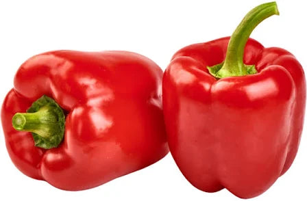 Red Capsicum Plant - Bell Pepper