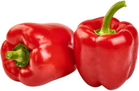 Red Capsicum Plant - Bell Pepper