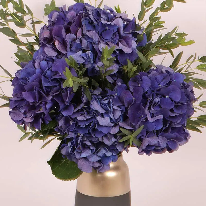 Twilight Hydrangea Premium Arrangement