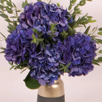 Twilight Hydrangea Premium Arrangement