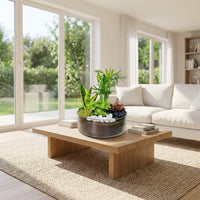 Air purifying Dish Garden