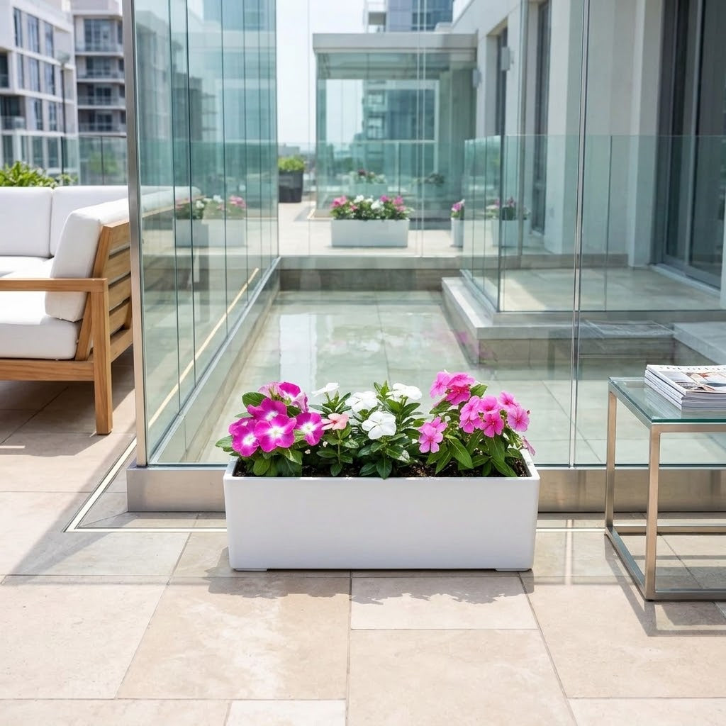 Vinca Flowering Plants Mix Bundle (5–12cm) in GRP Planter – Multicolour Sadabahar Flowers | Outdoor Dubai UAE
