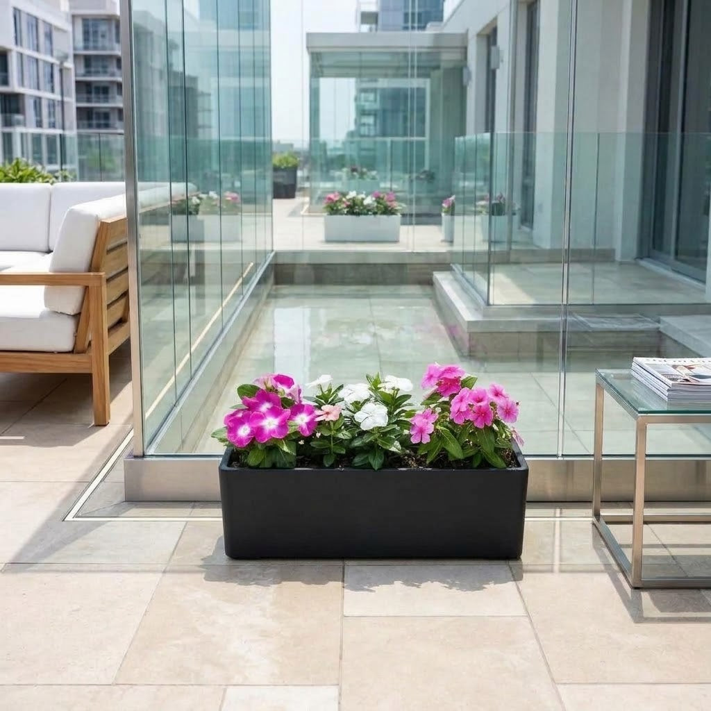 Vinca Flowering Plants Mix Bundle (5–12cm) in GRP Planter – Multicolour Sadabahar Flowers | Outdoor Dubai UAE