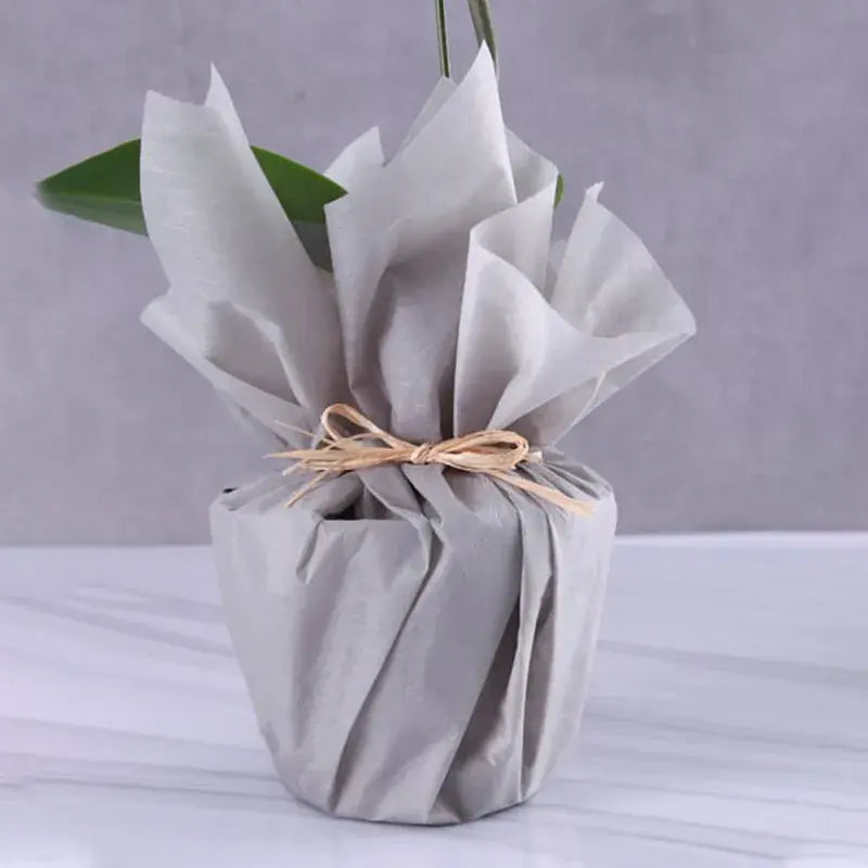 White Orchid Grey-Wrapped Plant