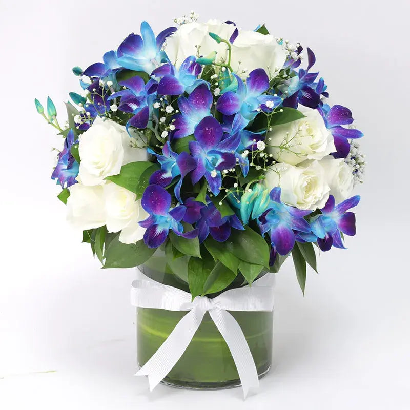 Wishes to Gentleman, White Roses, Blue Orchids, Cylinder Glass Vase, Floral Arrangement