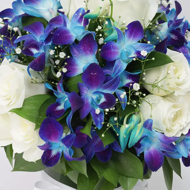 White Roses and Blue Orchids Arrangement